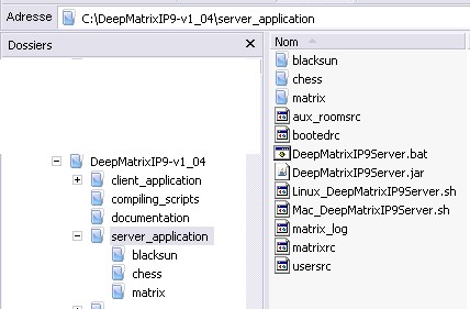 DeepMattrix on your own server Opt2